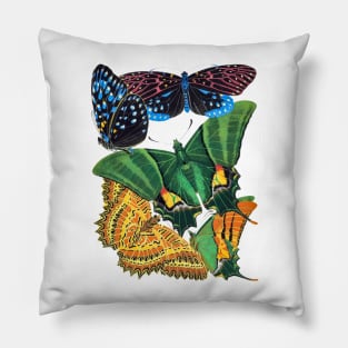 Butterflies Watercolor #3 Pillow