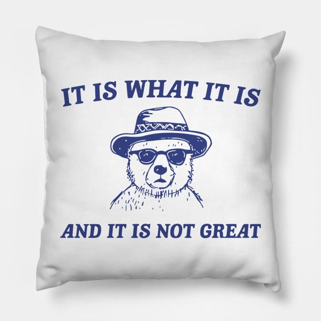 It Is What It Is And It Is Not Great Pillow by vintage-corner