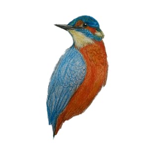 Kingfisher T-Shirt