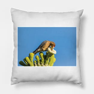 Male Gila Woodpecker Feeding On Cactus Blossom Pillow