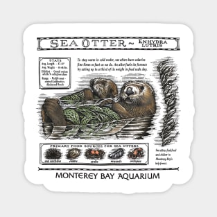 Vintage Sea Otter Aquarium In Monterey Bay Magnet