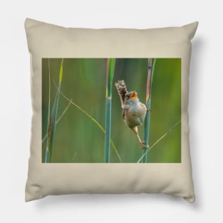 sedge wren Pillow