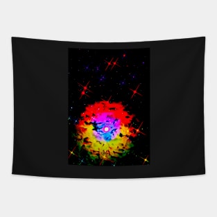 Starry sky pretty highlights Tapestry