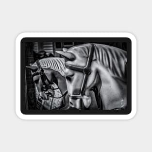 Merry-Go-Round-Horses Magnet