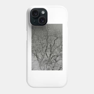 For The Love Of Trees - 2 - Monochrome © Phone Case