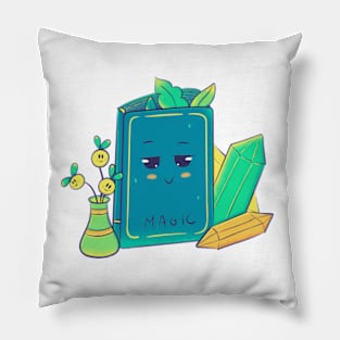 Magic book Pillow