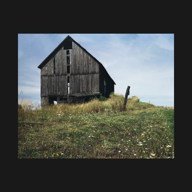 Barn in Spring Dansville, NY by wolftinz