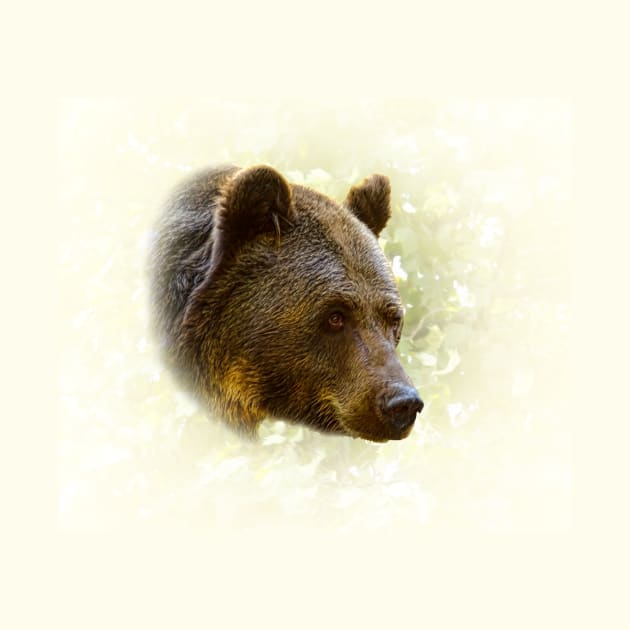 Brown bear by Guardi