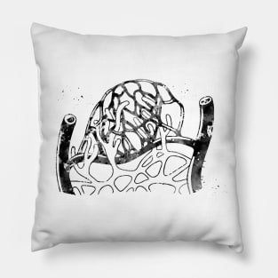 Lymphatic capillaries in the tissue spaces Pillow