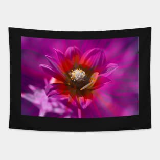 Dahlia, Dahlia, abstract, colorful, flower, bloom Tapestry