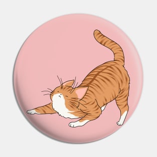 cat stretching Pin