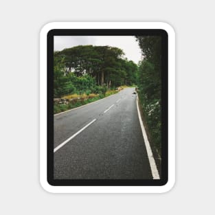 Dartmoor National Park - Cement Road on Rainy Day (Devon, England) Magnet