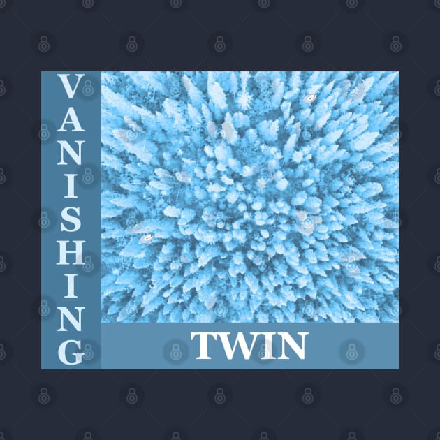 VANISHING TWIN by Noah Monroe