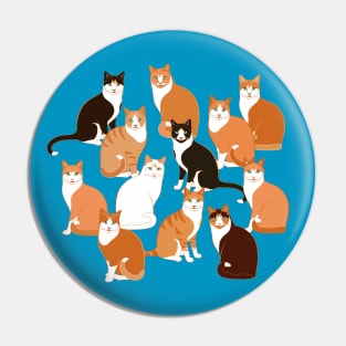 Ginger Cats Group on teal Pin