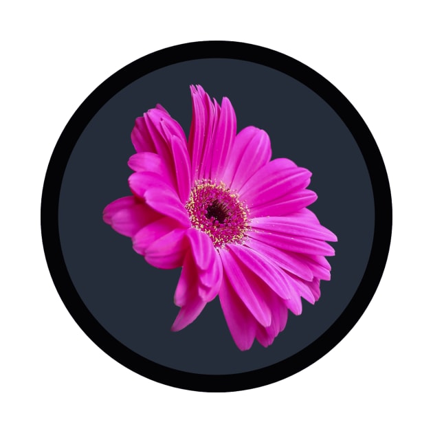 Pink Gerbera Daisy Flower Circle Frame by ellenhenryflorals