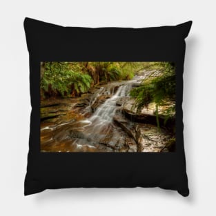 Aqua Silk, Rocks & Ferns Pillow