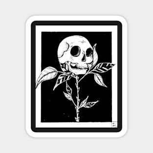 Dead rose Magnet