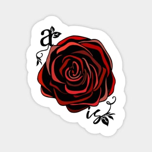 a rose is a rose is a rose Magnet