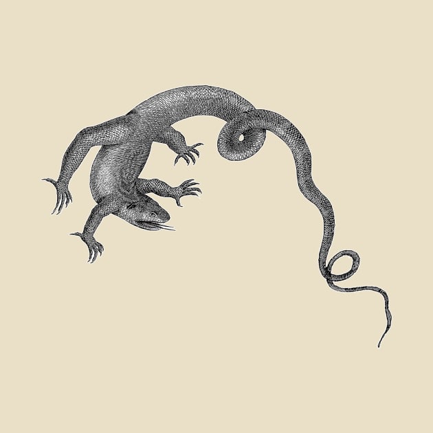 Komodo Dragon | Giant Lizard Reptile by encycloart