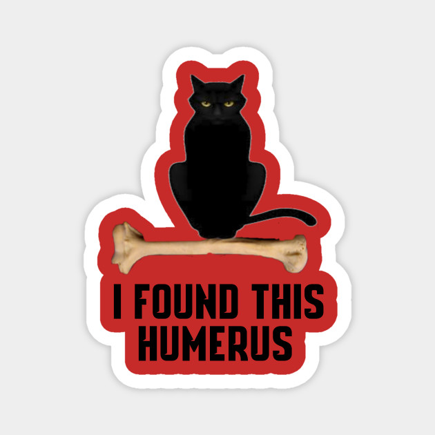 I Found This Humerus Cat Shirt I Found This Humerus Cats