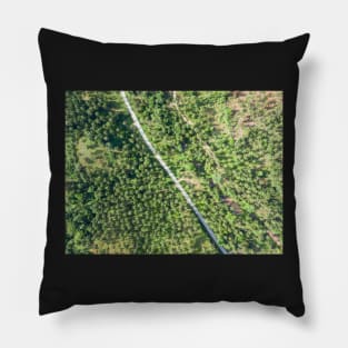 Aerial view of road through a palm tree forest Pillow