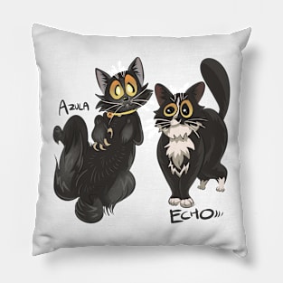 Azula and Echo Pillow