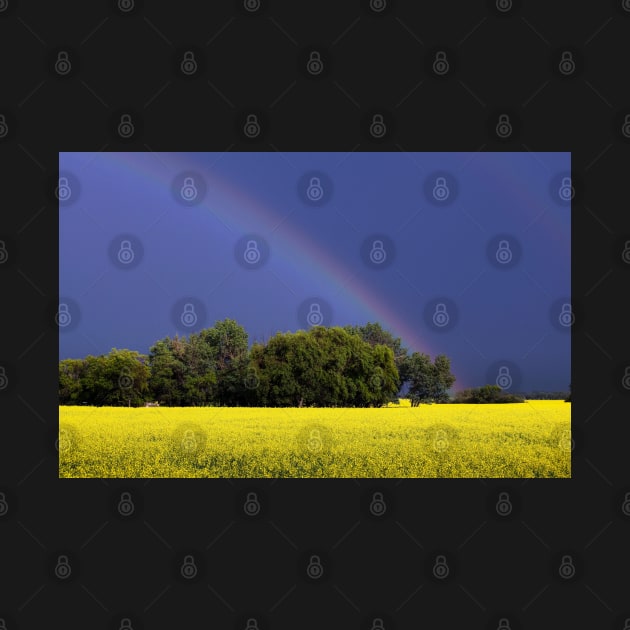 Trees, A Canola Field and a Rainbow by saku1997