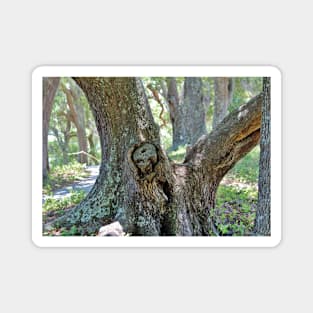 Spooky Face In A Tree Magnet