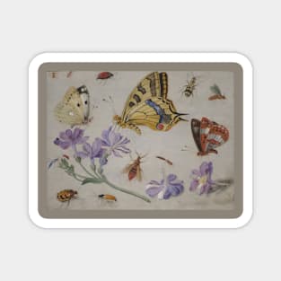 Butterflies, Other Insects, and Flowers by Jan van Kessel Magnet