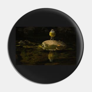 I WAG MY TAIL AND REFLECT ON POLLUTION Pin