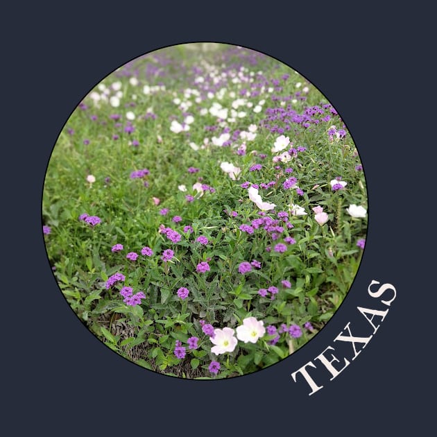 Texas Wildflowers - Prairie Verbena (purple) and Evening Primrose (pink) by AtlasMirabilis