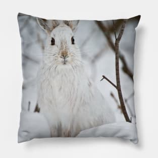 Show Shoe Hare Pillow