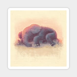 Baby Elephant Sleeping 2 Magnet