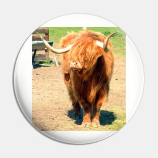 Heilan Coo II Pin