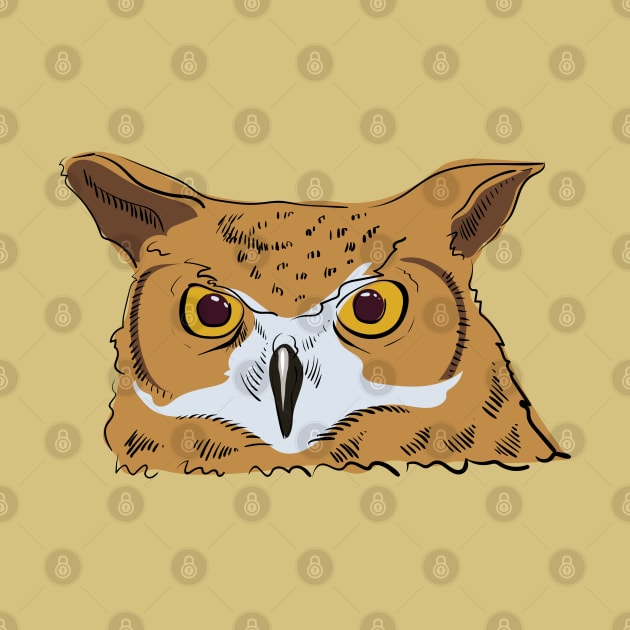 Angry owl by Catdog