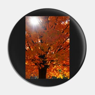 Vertical Autumn Orange Maple Tree Pin