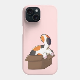 Funny And Cute Calico Cat In Box Phone Case