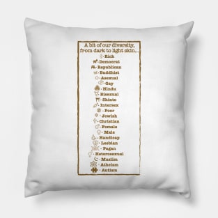 Infinite Diversity Pillow