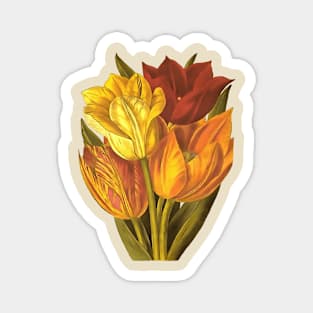 Cut Tulips Still Life Art Bouquet Cut Out Magnet