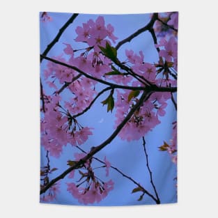 Flowers in nature Tapestry