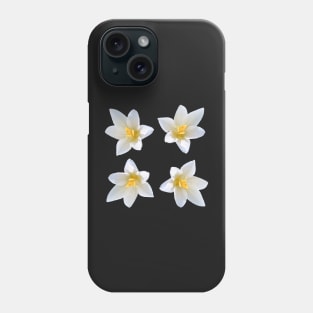 White Crocus Bouquet No Background Phone Case