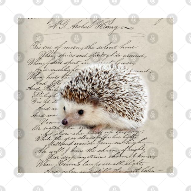 dark academia autumn harvest french botanical woodland animal hedgehog by Tina