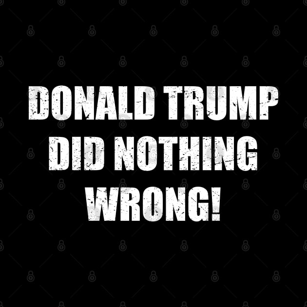 Donald trump did nothing wrong! by slawers
