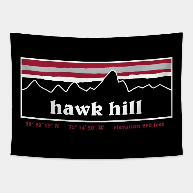 Hawk Hill, USA Tapestry by TheFauxHawk1