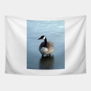 Evening Goose Tapestry