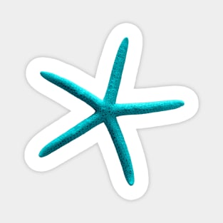 Starfish, Aqua Blue Magnet