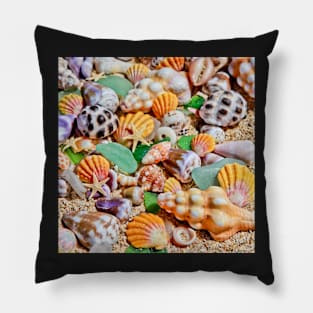 Seashells by the Seashore Pillow