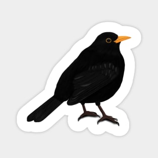 Blackbird Bird Watching Birding Ornithologist Gift Magnet