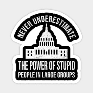 Never Underestimate Stupid People Magnet