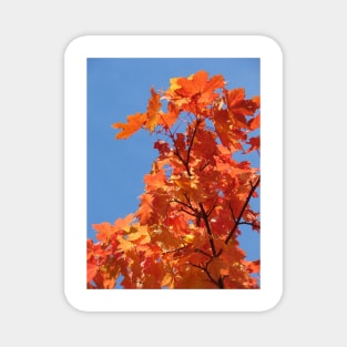 Autumn Magnet